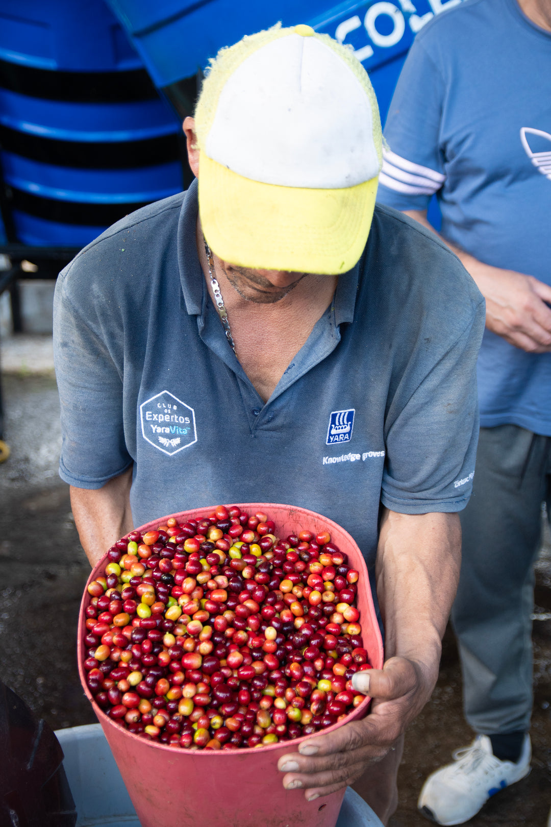 Colombia Claraboya - Black Honey