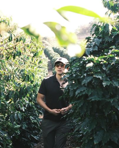 Brazil Fazenda Um Organic SWP Decaf Green Coffee Beans