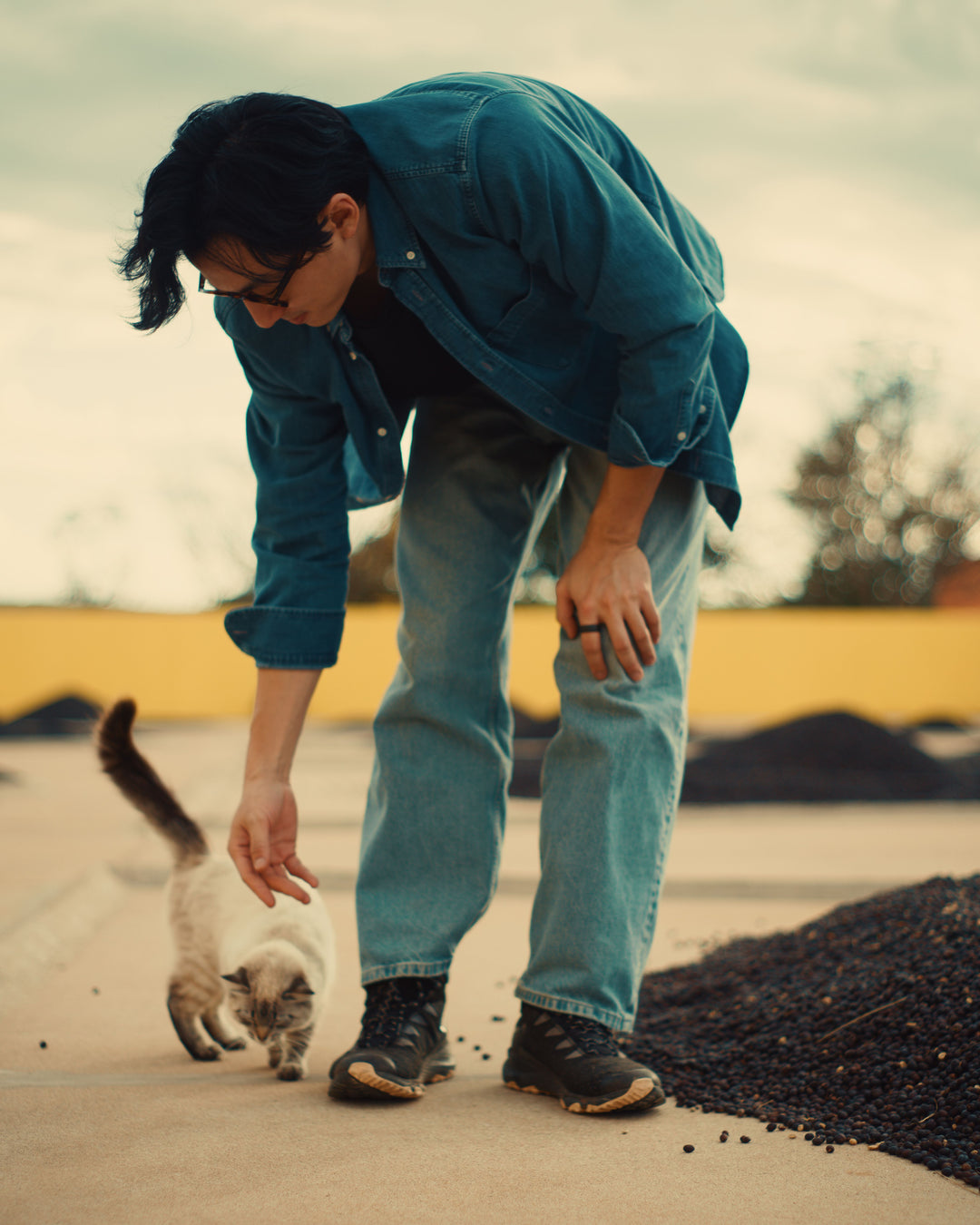 Brazil Fazenda Um Organic SWP Decaf Green Coffee Beans