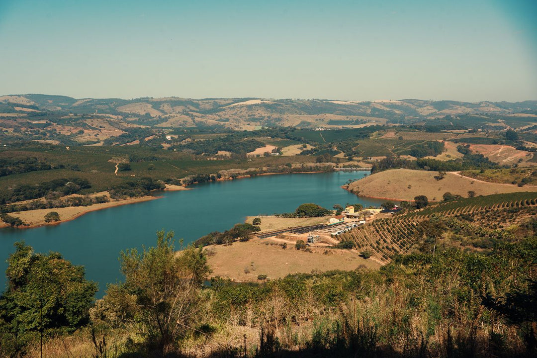 Brazil Fazenda Um Organic SWP Decaf Green Coffee Beans