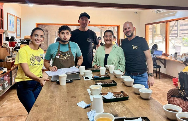 Honduras Los Laureles FTO RFA SWP Decaf Green Coffee Beans