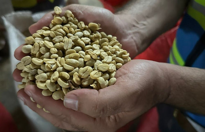 Honduras Los Laureles FTO RFA SWP Decaf Green Coffee Beans