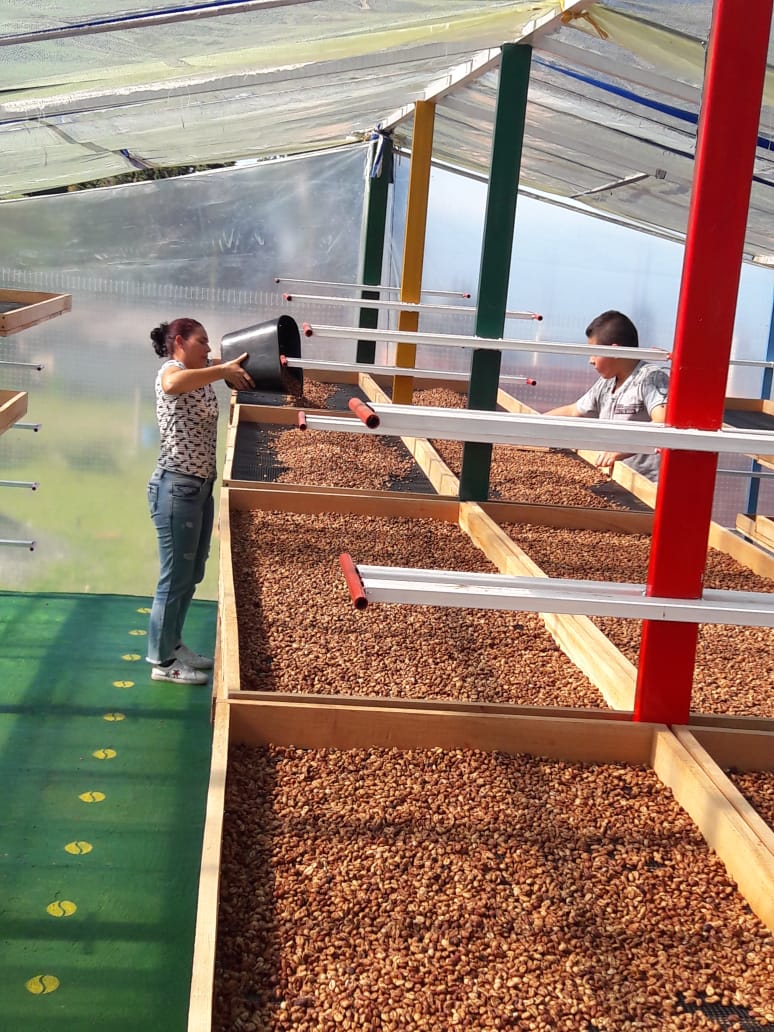 Colombia Los Cedros Yellow Honey