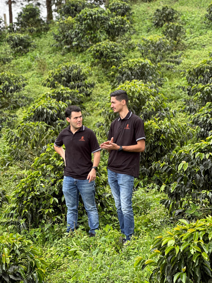 Colombia Los Cedros - Pink Bourbon - Spring Break