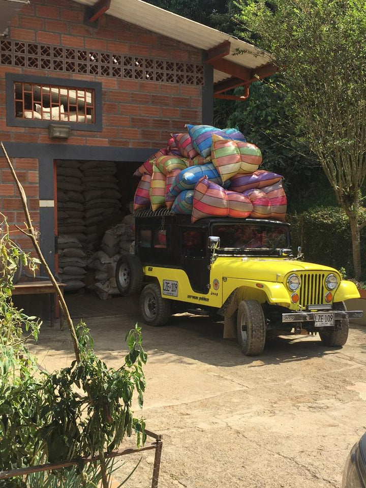 Colombia - Paula 20 Brix Natural