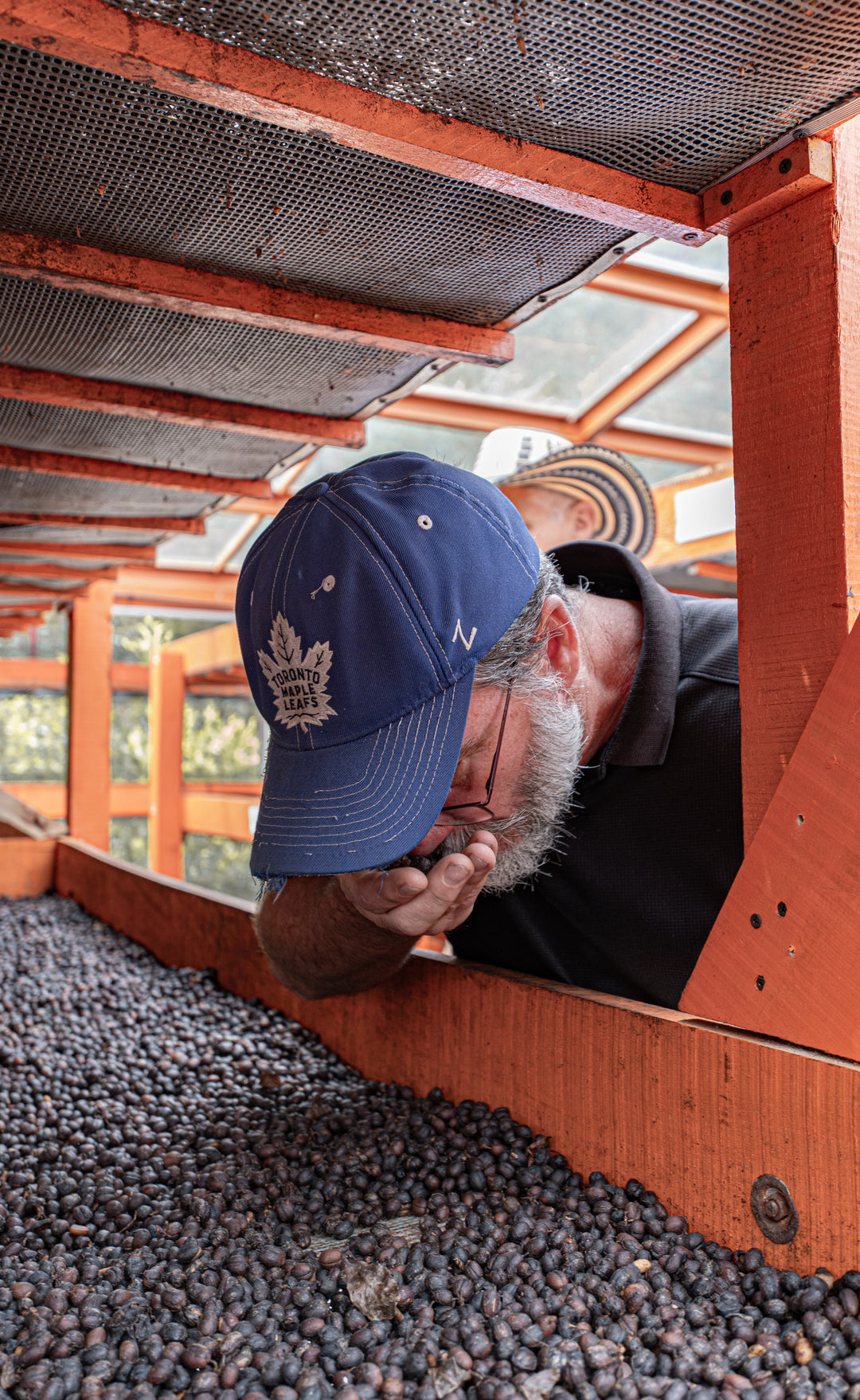 Colombia - Paula 20 Brix Natural