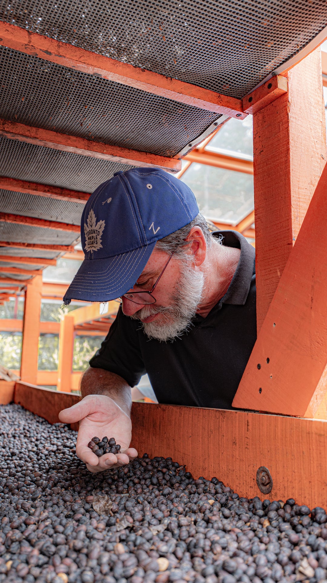 Colombia - Paula 20 Brix Natural