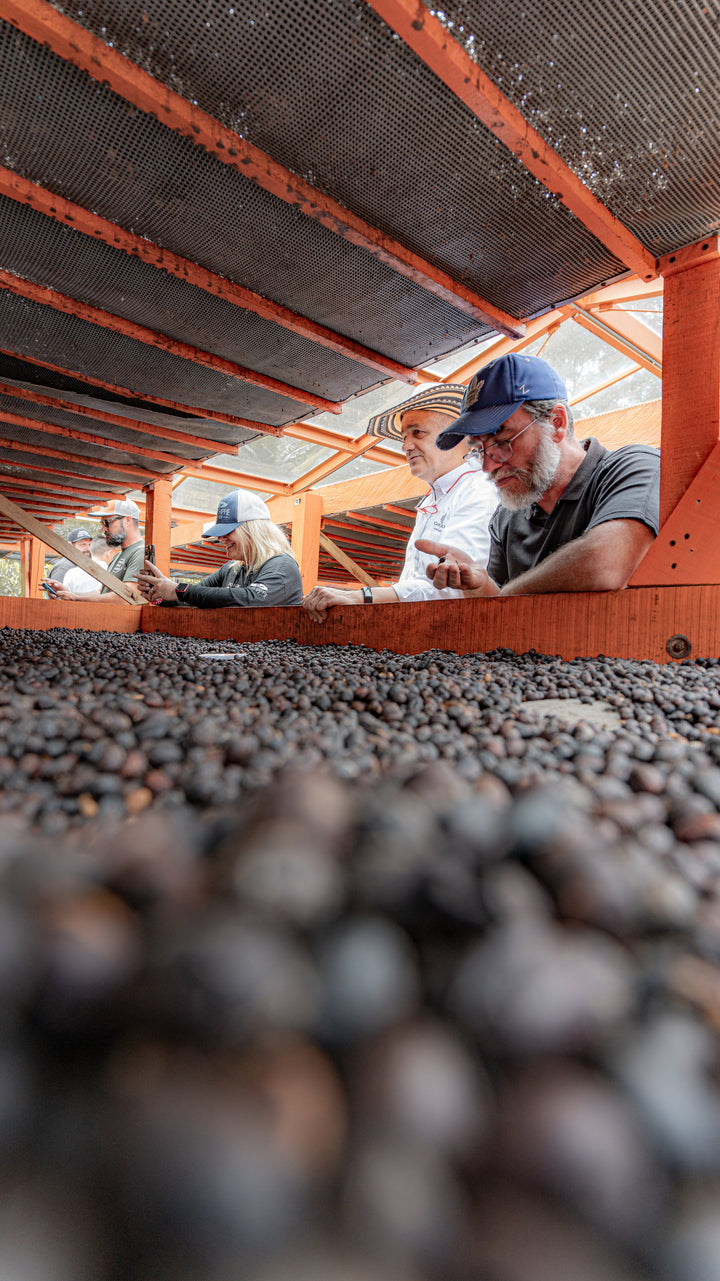 Colombia - Paula 20 Brix Natural