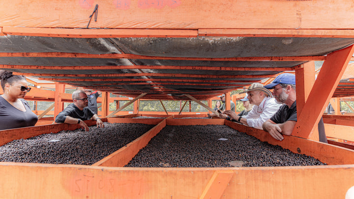 Colombia - Paula 20 Brix Natural