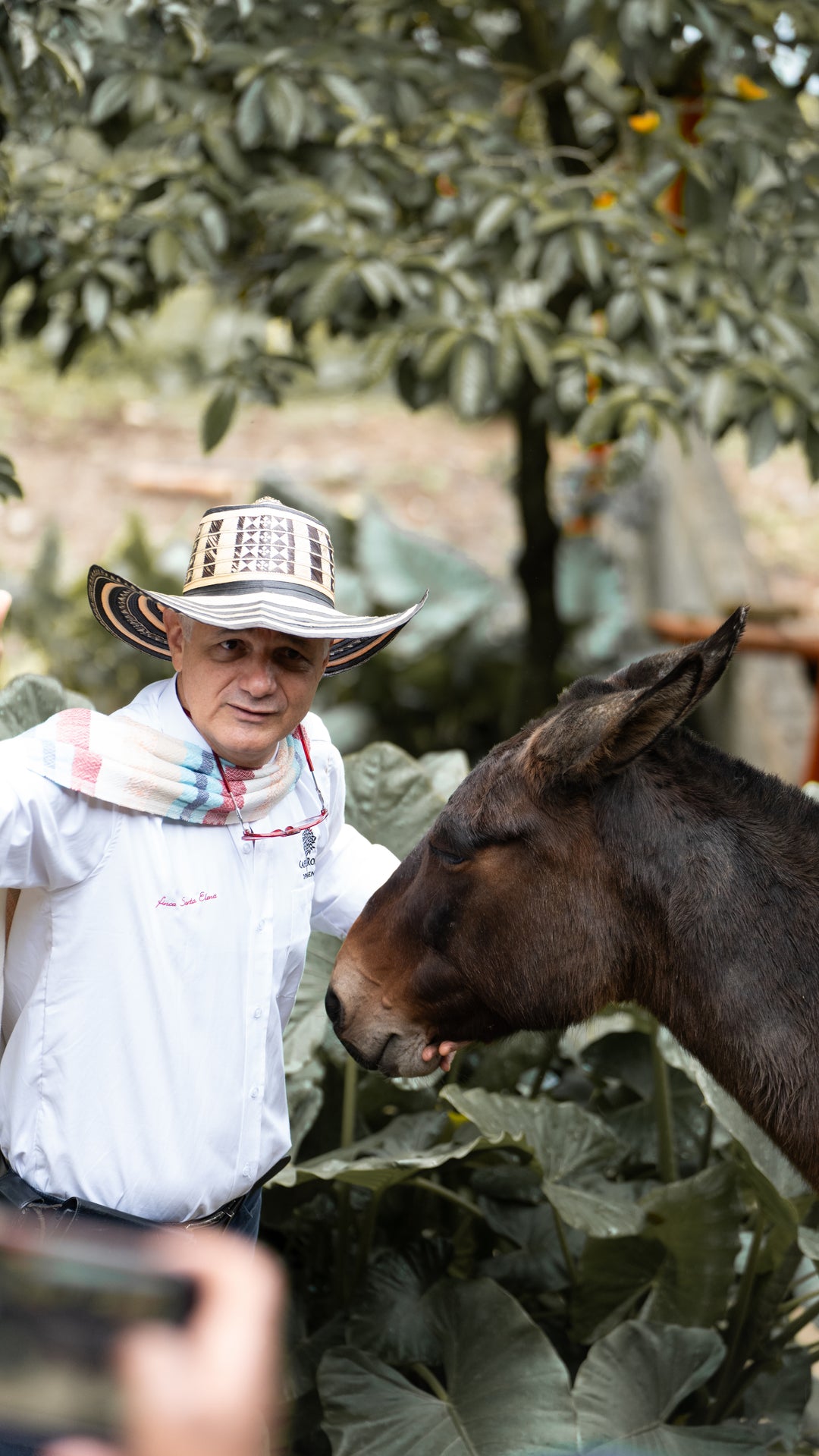 Colombia - Paula 20 Brix Natural