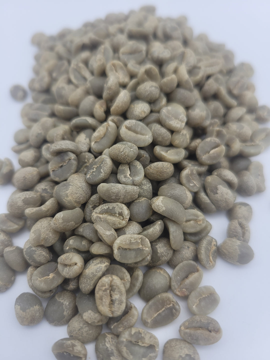 Burundi Businde Washed - Lot 100