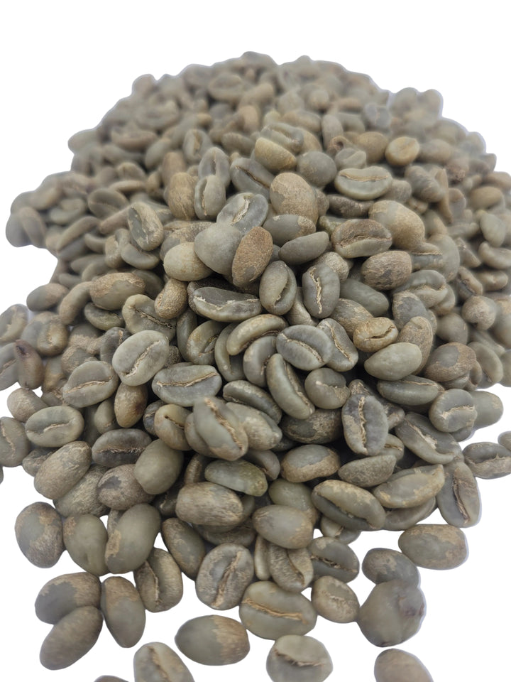 Colombia Los Cedros Pink Bourbon Green Coffee Beans close up