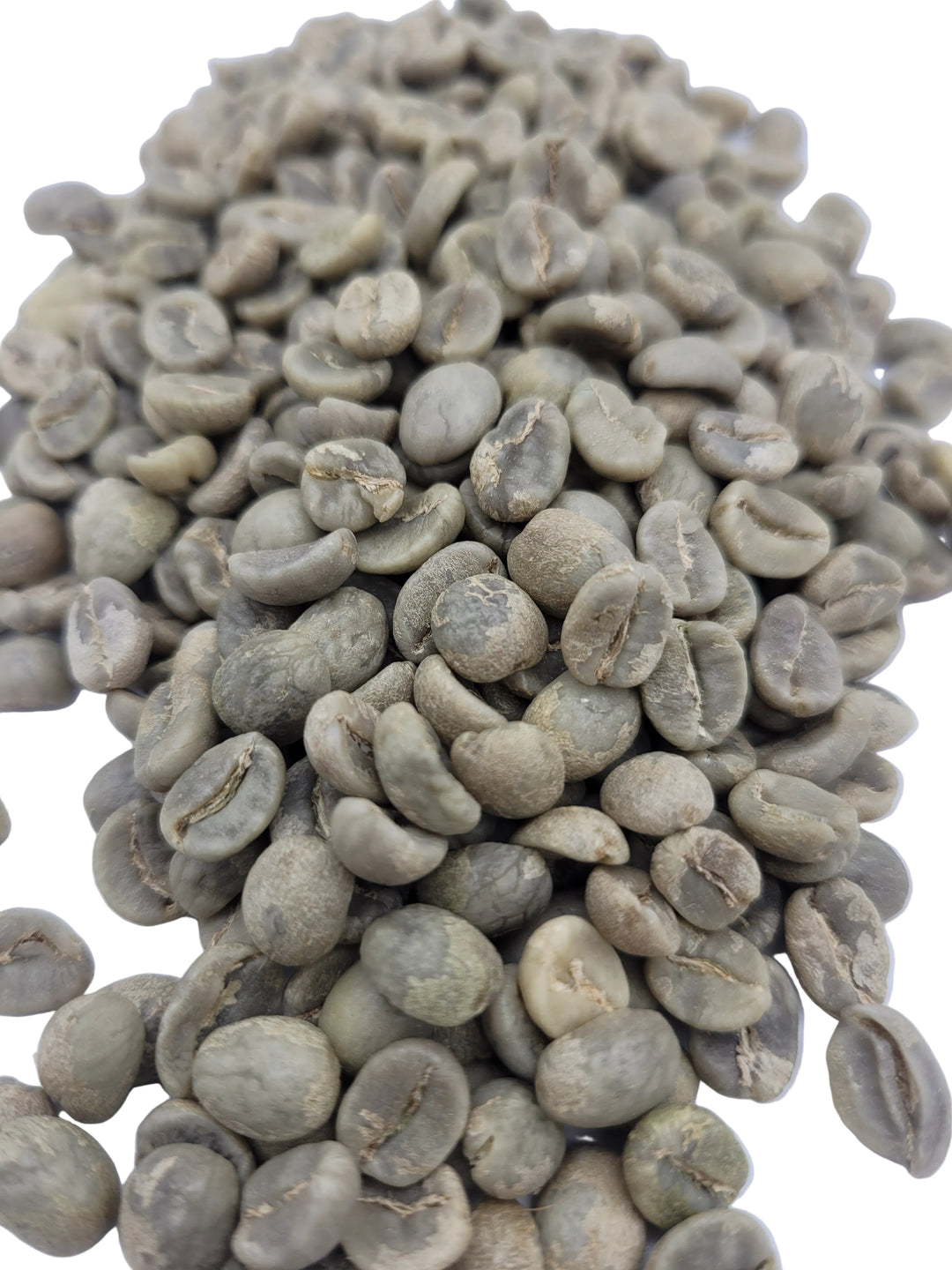 Close-up of green coffee beans on a white background