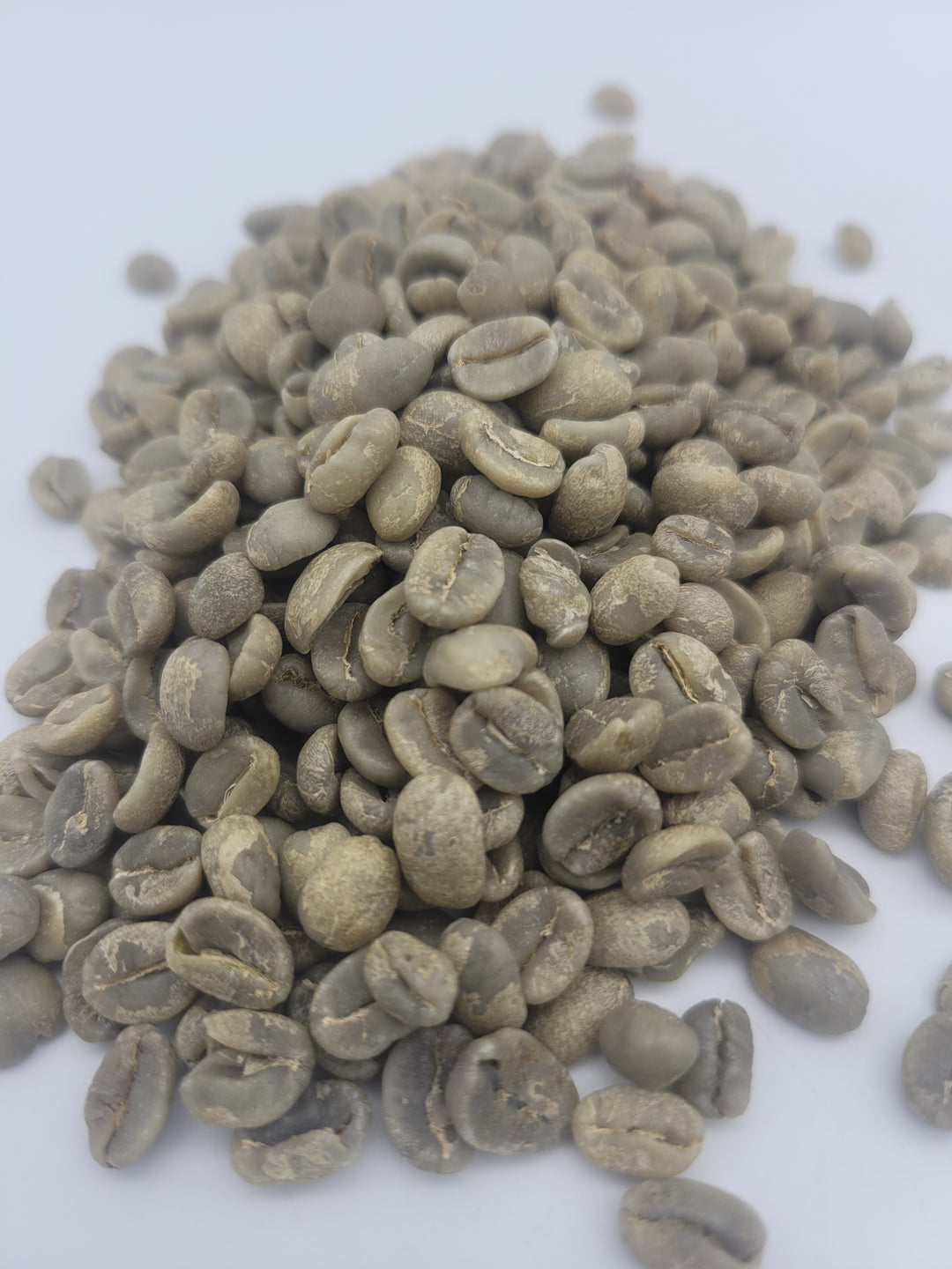 Laos Naga - Catigua- Washed