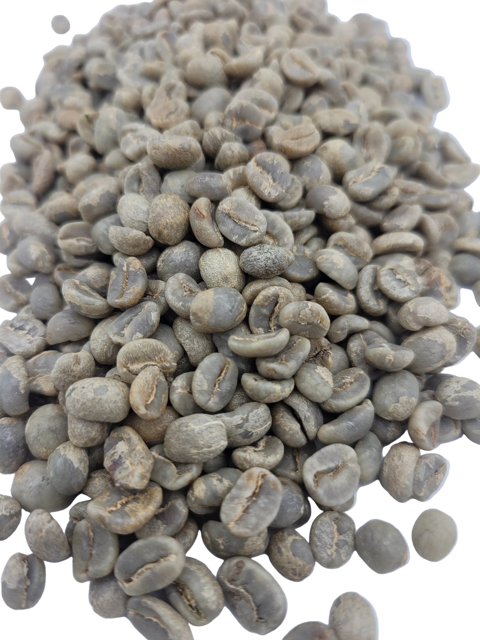 Green coffee beans on a white background