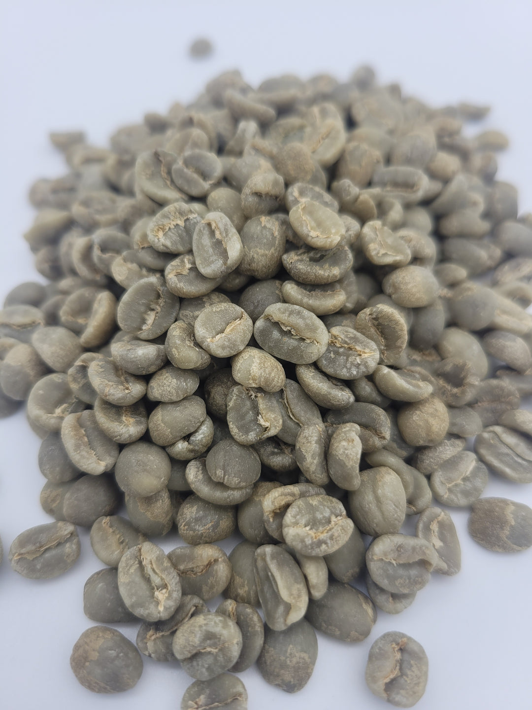 Kenya Gichuka AA Washed