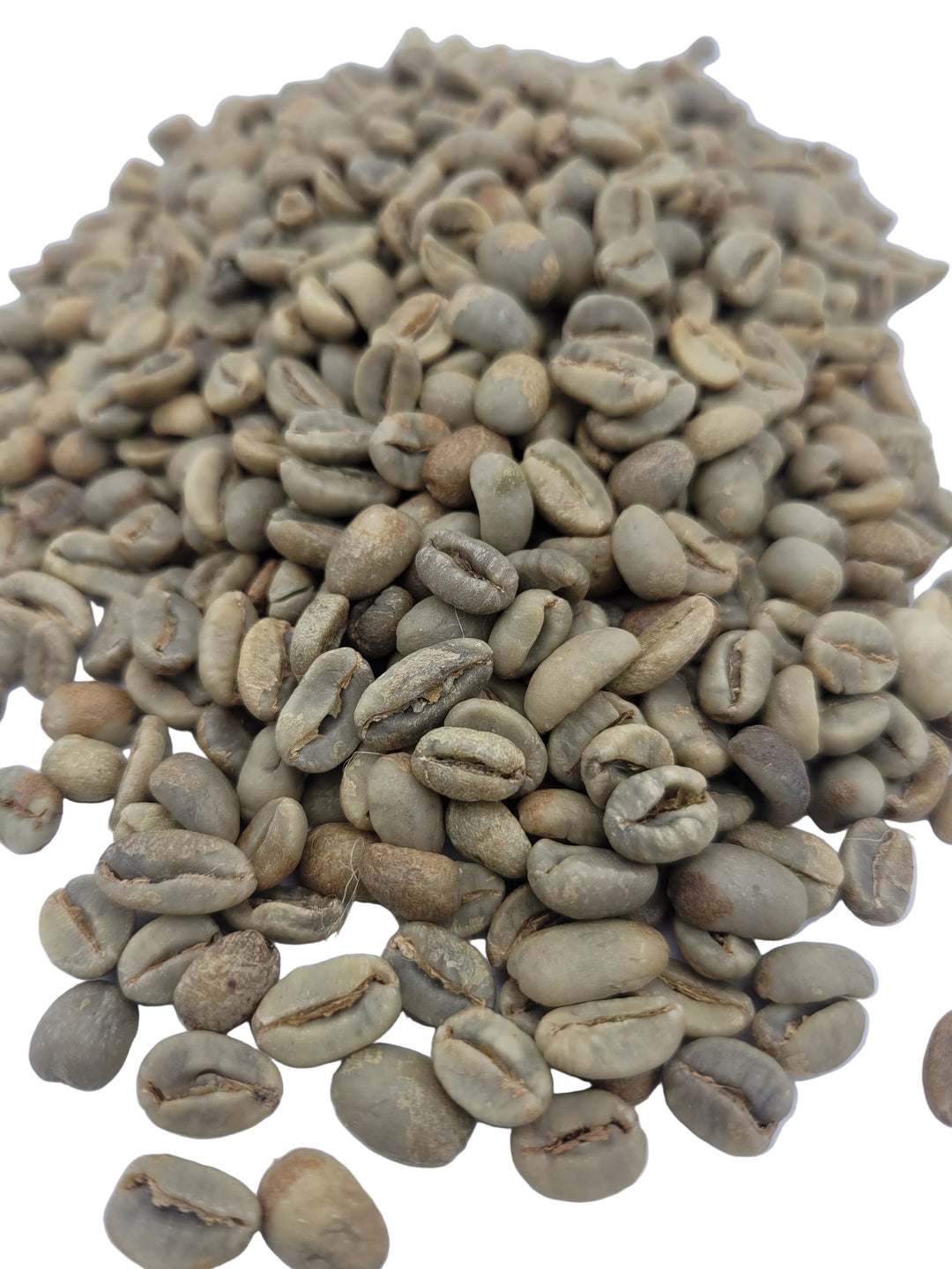 Green coffee beans on a white background