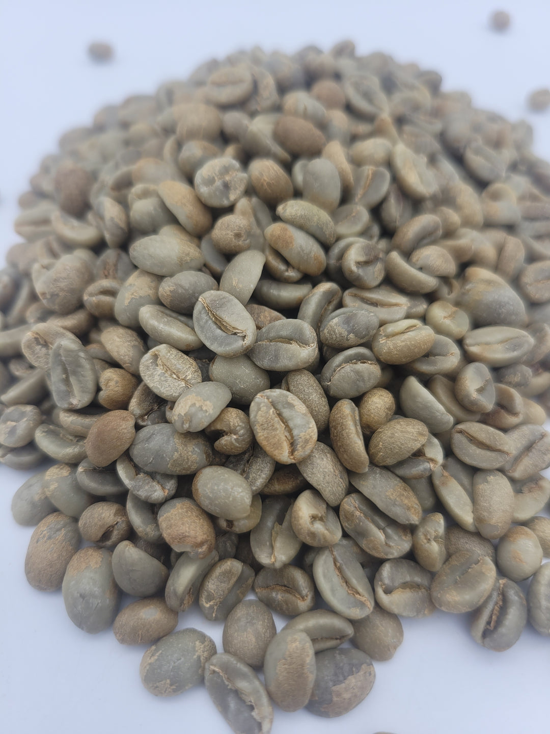 Costa Rica - Aquiares Estate - Esperanza Red Honey