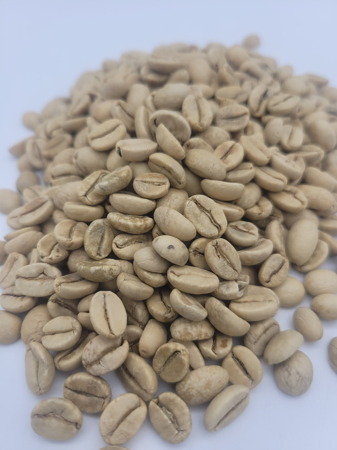 India Monsooned Malabar AA