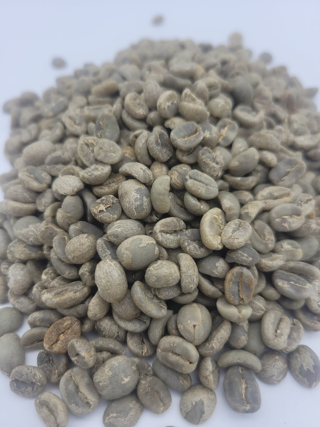 Guatemala Huehuetenango Guaya'b Coop FTO SMBC
