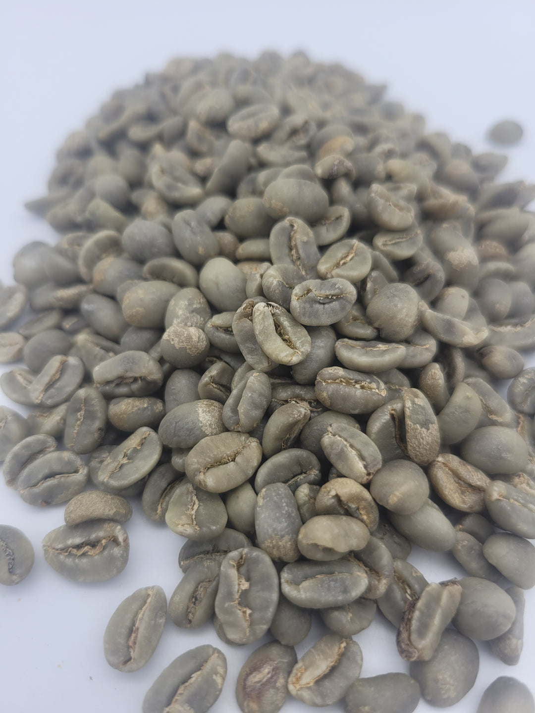 Sumatra Aceh Gayo Washed