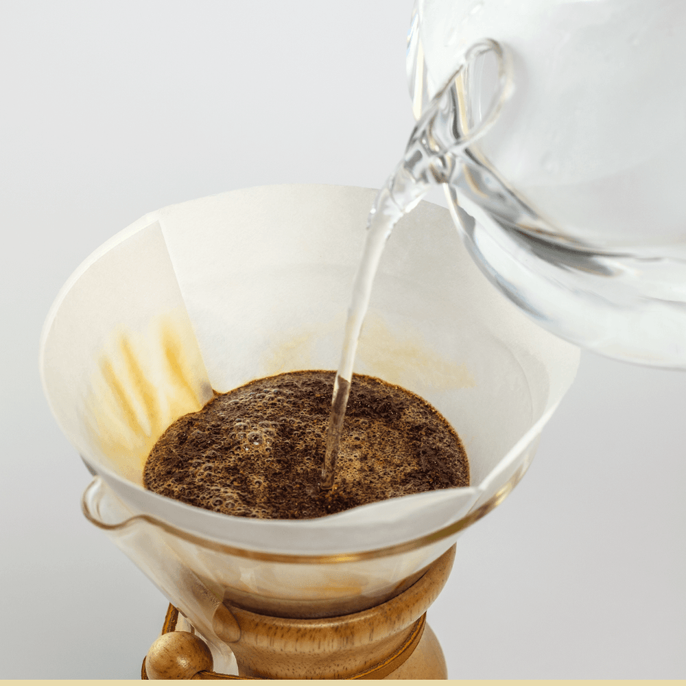 Chemex Brewer with prefolded filter and coffee